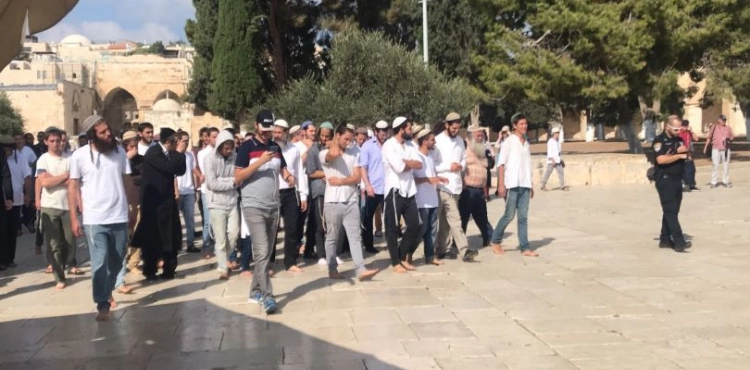 89 settlers and Israeli soldiers storm Al-Aqsa
