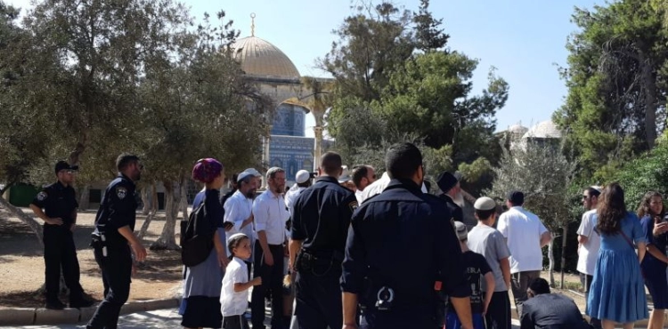 382 Jewish settlers Storm Al-Aqsa mosque