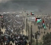 Palestinians prepare for &quot;a stable and resilient&quot; despite Liberman&acute;s threats