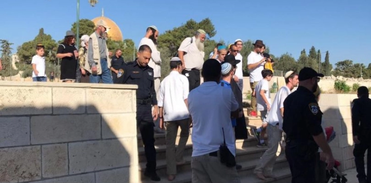 54 Israelis storm Al-aqsa Mosque