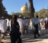 70 settlers Storm Al-Aqsa mosque