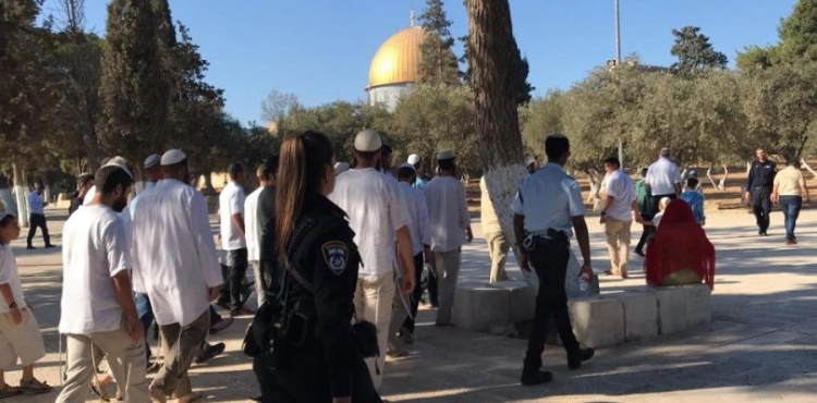 70 settlers Storm Al-Aqsa mosque