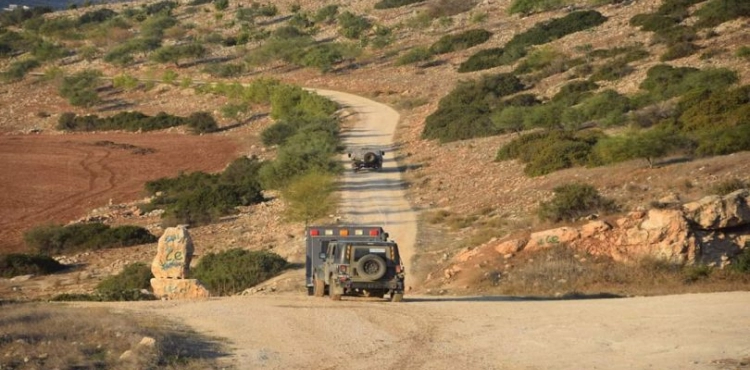 Settlers sweep land for Palestinians in northern Jordan Valley