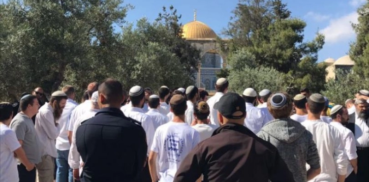 191 settlers Storm Al-Aqsa mosque
