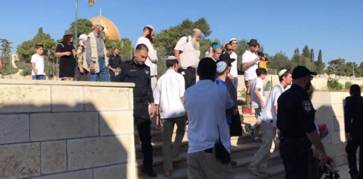 43 Settlers Storm Al-Aqsa mosque