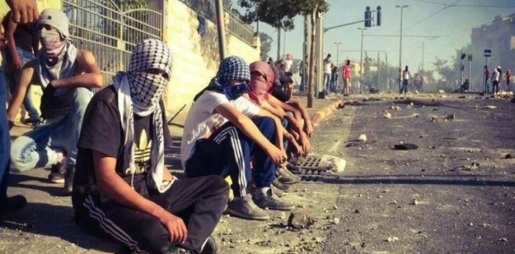 Harvest of the week: two martyrs and 65 cases of clashes with the occupation in 73 points of contact
