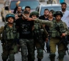 The occupation arrested 486 Palestinians last November