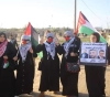 3 martyrs shot by the occupation east of Gaza