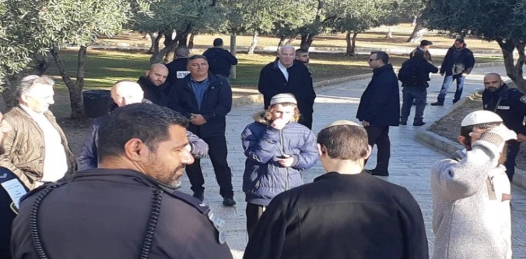 118  &quot;Israeli &quot; break into the courtyards of al-Aqsa mosque
