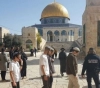 59 settlers Storm Al-Aqsa mosque