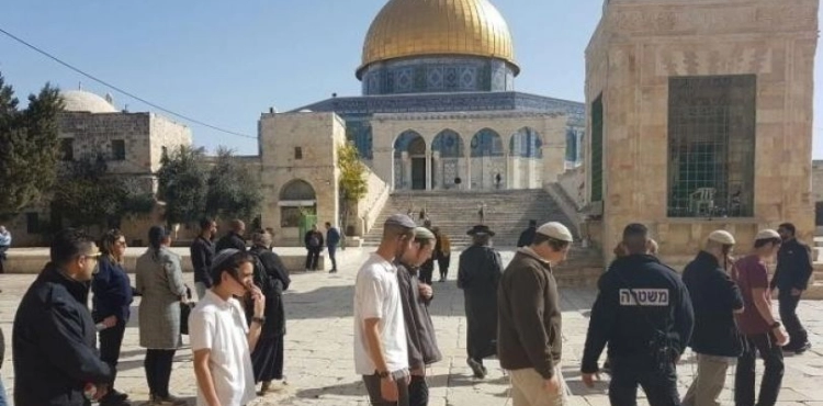 59 settlers Storm Al-Aqsa mosque