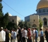 60 Settlers Storm Al-Aqsa mosque
