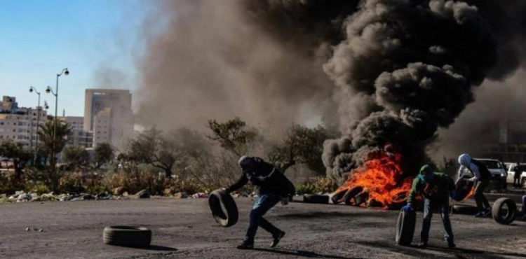 Harvest of the Week: 5 martyrs and 145 injuries in 72 points of contact with the occupation