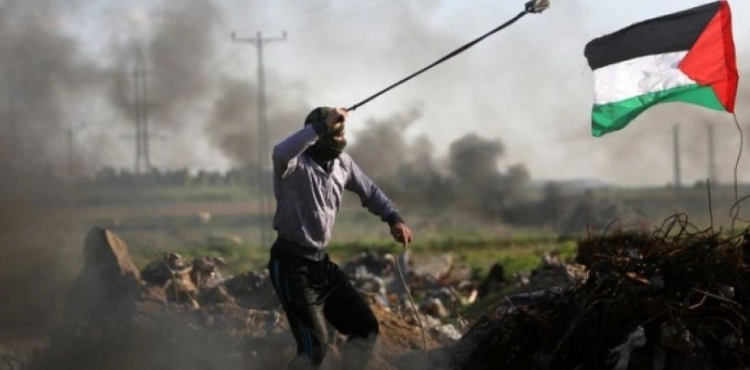 Harvest Week.. Three martyrs and 69 points of contact injured 76 Palestinians