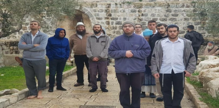 165 Israelis storm Al-Aqsa mosque
