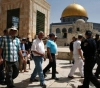 JERUSALEM - 40 settlers storm the courtyards of al-Aqsa