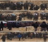 200 settlers storm the Al-Aqsa Mosque