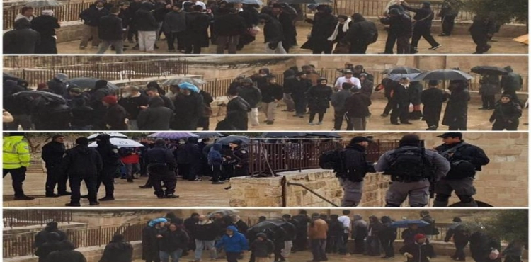 200 settlers storm the Al-Aqsa Mosque