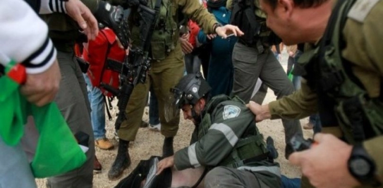 Israeli forces arrest two foreign activists and activists south of Hebron