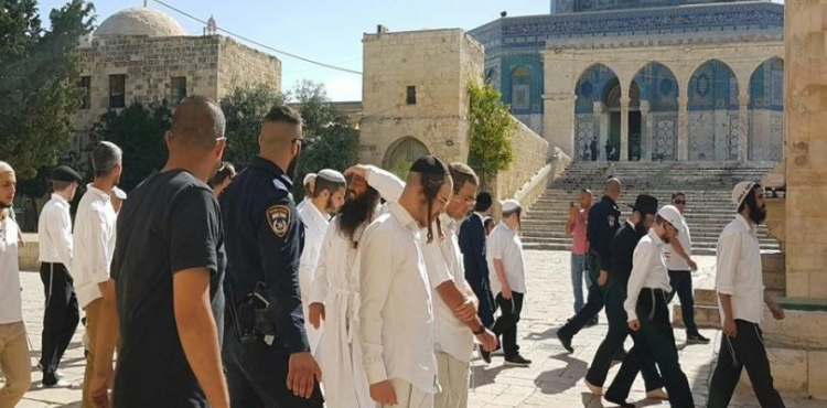 167 settlers storm the courtyards of Al-Aqsa Mosque this morning