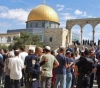 519 settlers storm Al-Aqsa in the last days of the &quot;Passover&quot;