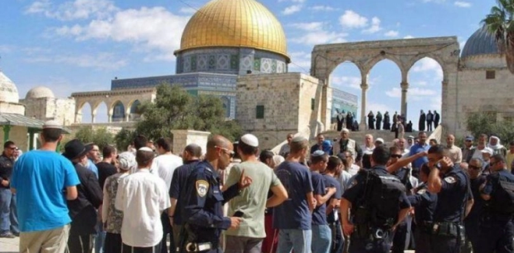 519 settlers storm Al-Aqsa in the last days of the &quot;Passover&quot;