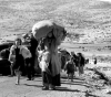 71 years .. The catastrophe of the Palestinian people did not stop