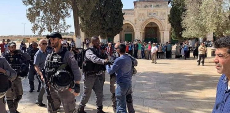 1179 settlers storm the courtyards of al-Aqsa mosque