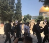 334 settlers Storm the Al-Aqsa mosque courtyards