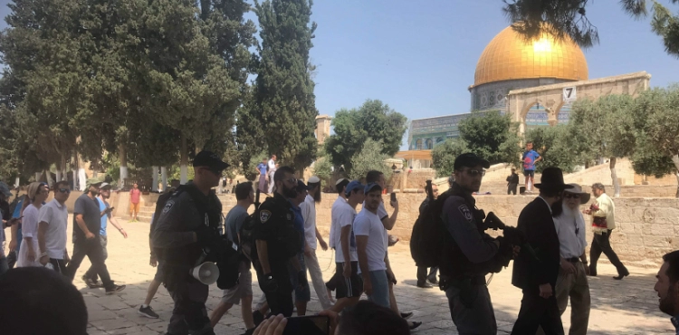 334 settlers Storm the Al-Aqsa mosque courtyards
