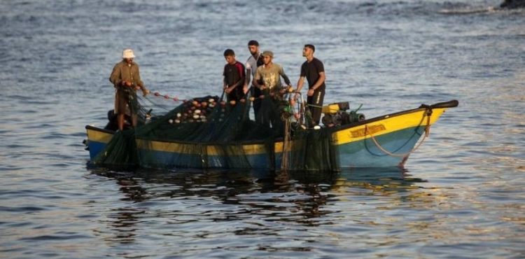 140 thousand dollars daily losses to &quot;Gaza fishermen&quot; due to the closure of the sea