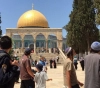 120  &quot;Israelis &quot; Storm Al-Aqsa mosque in  &quot;the Morning period &quot;