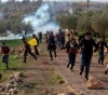 Injuries to the suppression of the occupation of the Nilin and Kafr Qaddum in the West Bank