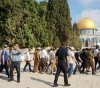 Jerusalem.. 311  &quot;Israelis &quot; Storm the Aqsa in the morning