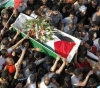 &quot;Harvest Week&quot;: A martyr and 127 injuries of the occupation bullets in the West Bank and Gaza