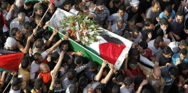 &quot;Harvest Week&quot;: A martyr and 127 injuries of the occupation bullets in the West Bank and Gaza