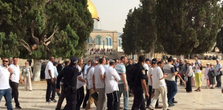 2800 &quot;Israeli&quot; stormed the Al-Aqsa Mosque in June