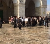 107 &quot;Israelis&quot; storm ing the courtyards of al-Aqsa Mosque