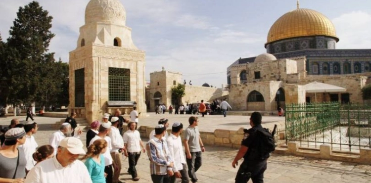 Jerusalem .. 188 &quot;Israeli&quot; break into the courtyards of Al-Aqsa