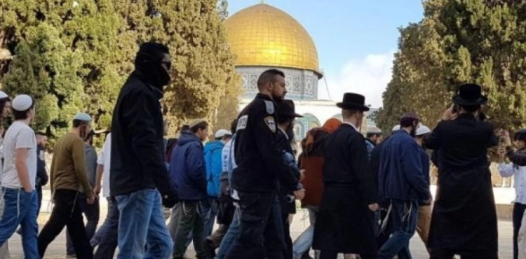 Jerusalem .. 60 settlers storm the courtyards of Al-Aqsa Mosque