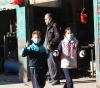 Palestinian Health: 14 cases of &quot;swine flu&quot; since last September