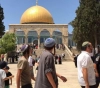 Nearly 200 Jewish extremists desecrate al-Aqsa Mosque courtyards