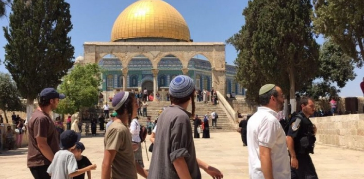 Nearly 200 Jewish extremists desecrate al-Aqsa Mosque courtyards