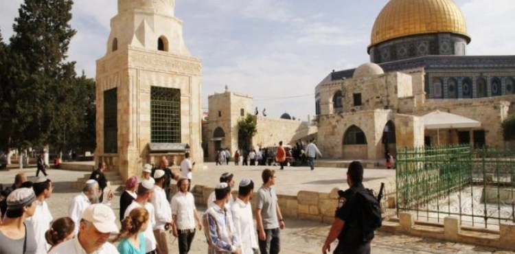 Jerusalem .. 44 settlers storm the courtyards of Al-Aqsa Mosque
