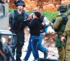 The occupation arrested 357 Palestinians last March