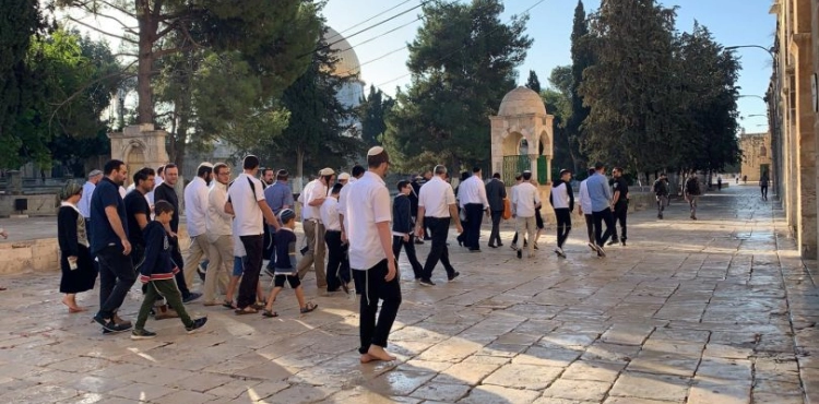 Settlers, accompanied by rabbis, storm the courtyards of Al-Aqsa Mosque