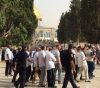 Dozens of settlers storm the Al-Aqsa courtyards