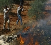 Settlers burn agricultural land in Burin, south of Nablus