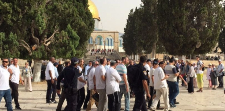 Dozens of settlers storm the Al-Aqsa Mosque with great security
