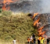 Occupation causes the burning of 14 dunums east of Ramallah